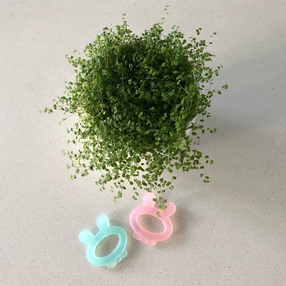 haakaa-silicone-rabbit-ear-teether-silikon-bei-ring-mit-hasenohren-bpa-frei-gefr image 4