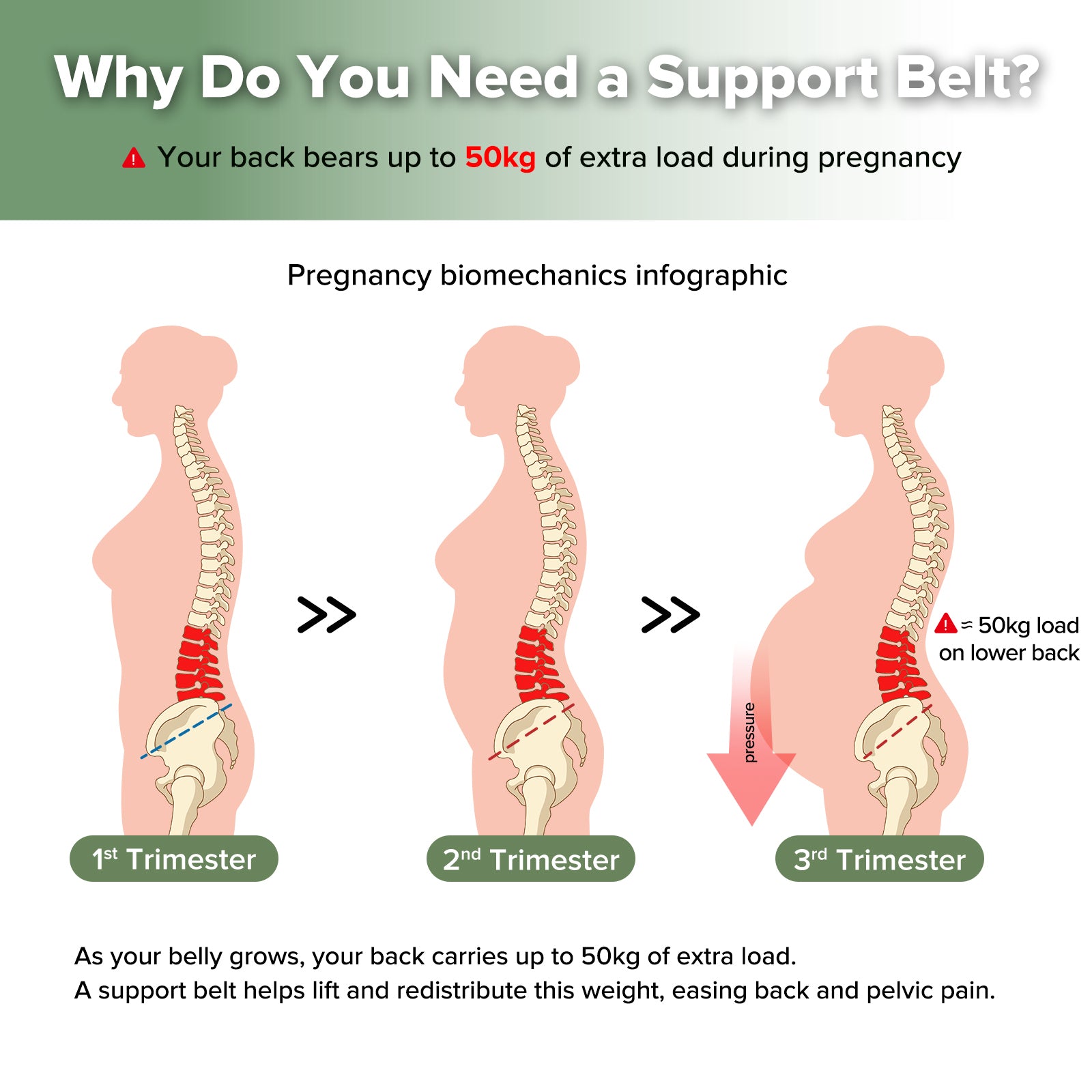 haakaa-360-maternity-lift-support-band-schwangerschafts-bauchgurt-mit-rundum-st- image 3